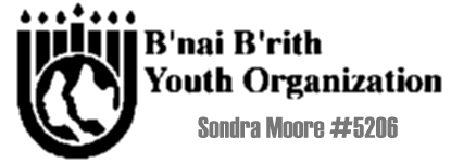 B'nai B'rith Youth Organization